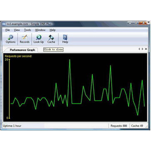 Simple DNS Plus