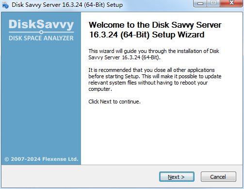 Disk Savvy Server