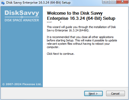 Disk Savvy Enterprise