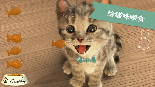 little kitten我最喜爱的猫猫iOS第1张手机截图