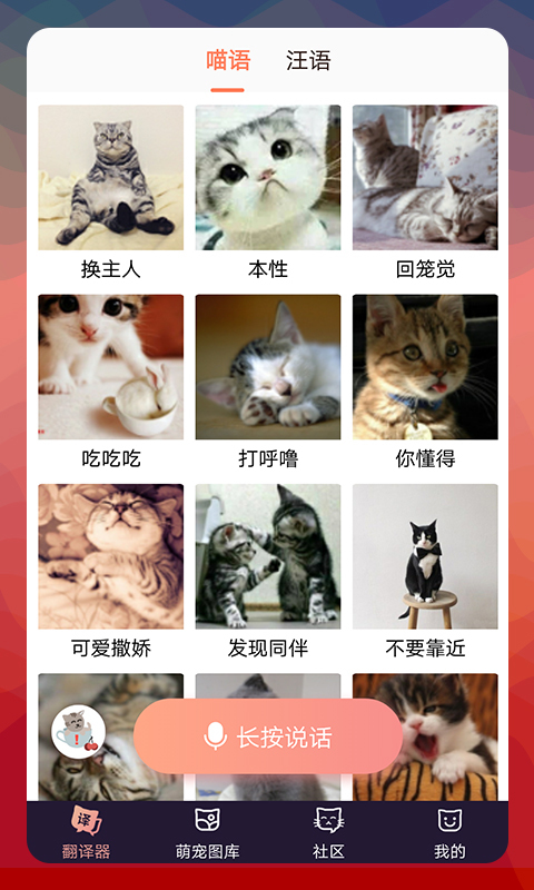 猫语翻译器软件封面