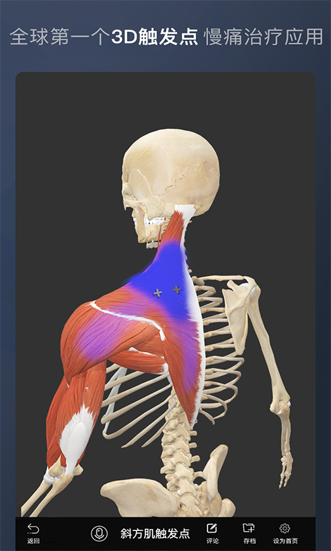 维萨里3D解剖软件封面