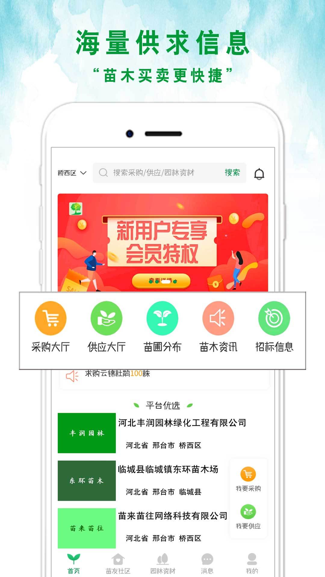 苗来苗往第5张手机截图