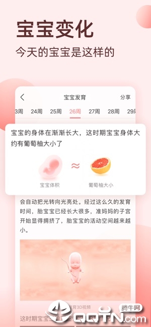 柚宝宝孕育ios第4张手机截图