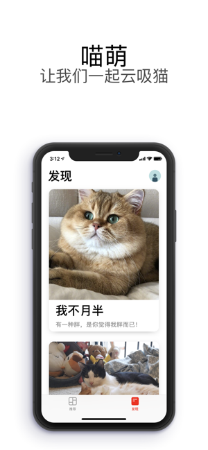 喵萌云吸猫第3张手机截图