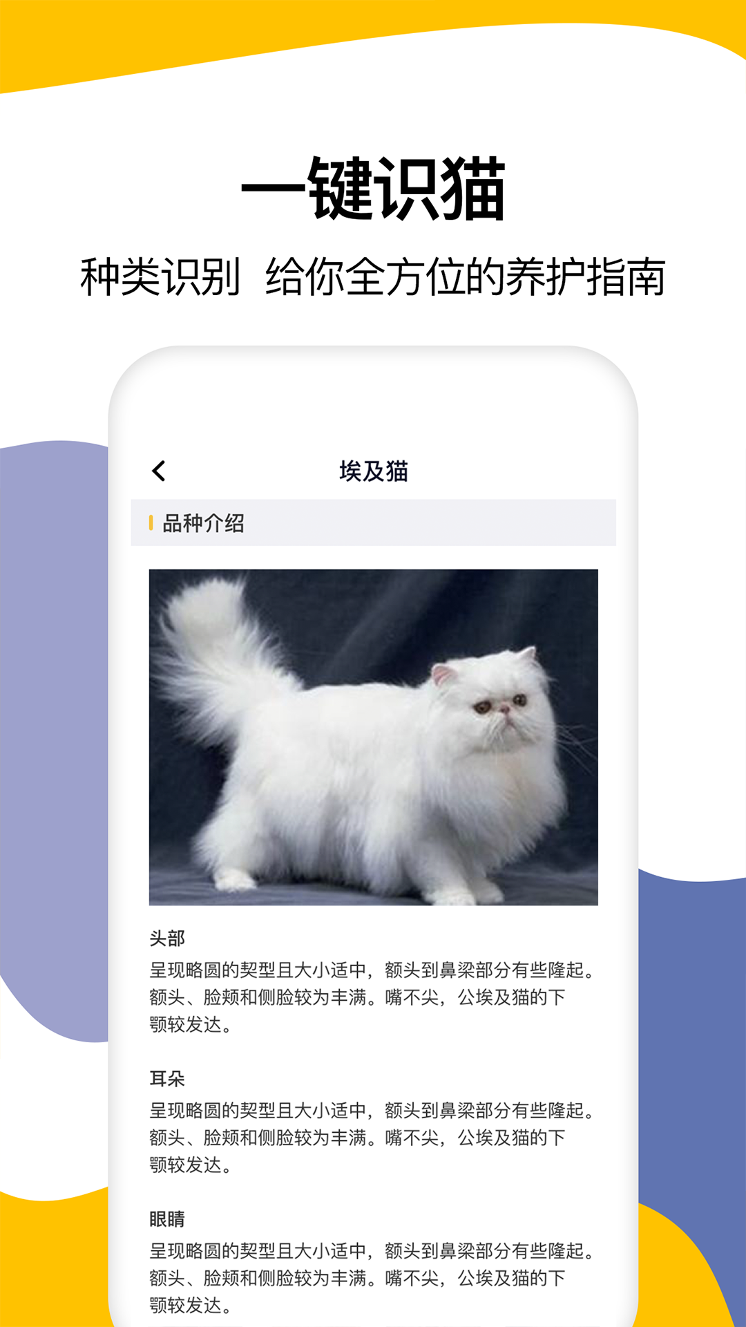 猫语翻译软件封面