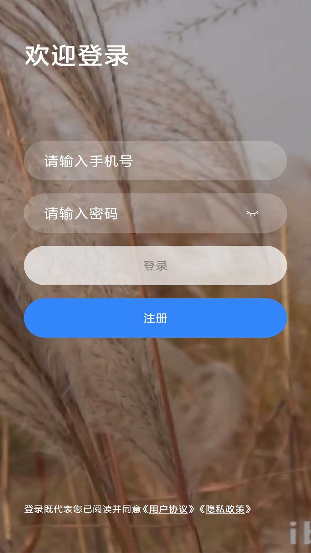 乐学网软件封面