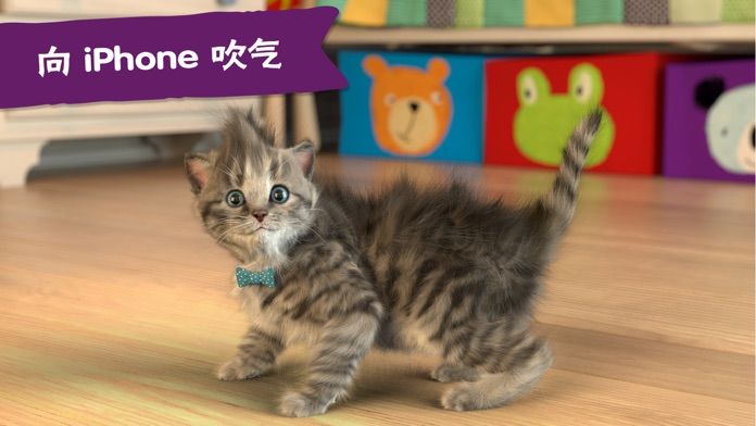 LittleKitten小猫-我最喜欢的猫软件封面