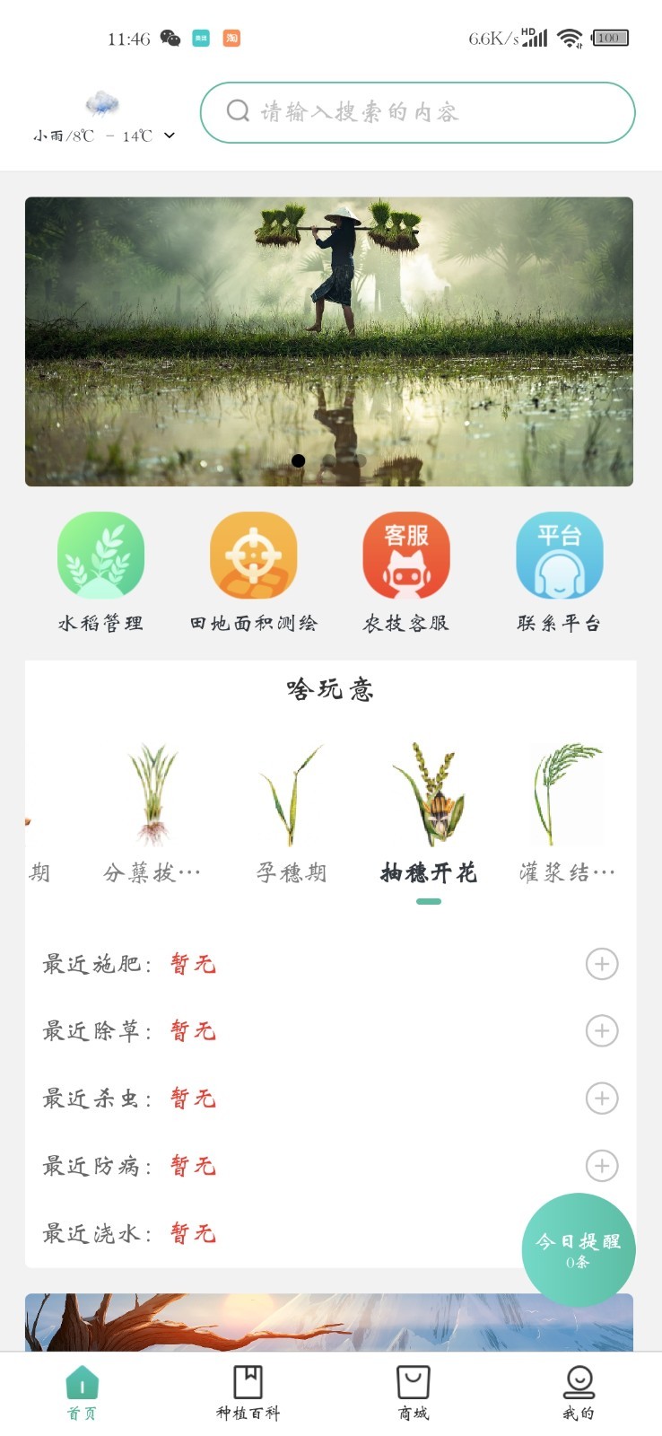 种稻得稻第5张手机截图