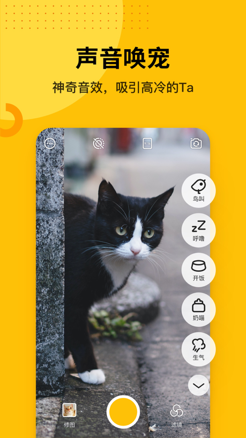 爪叽相机ios软件封面