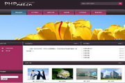 xSite企业自助建站软件