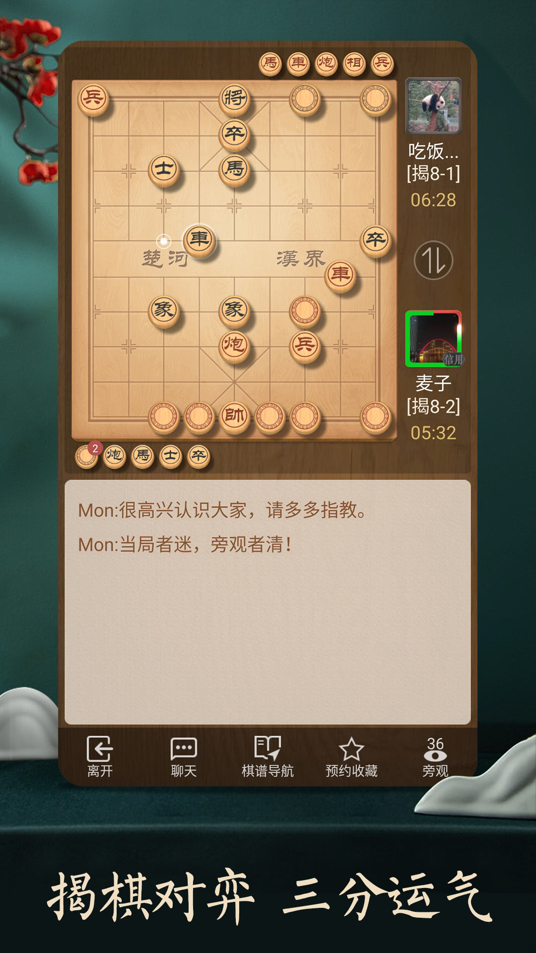 天天象棋软件封面