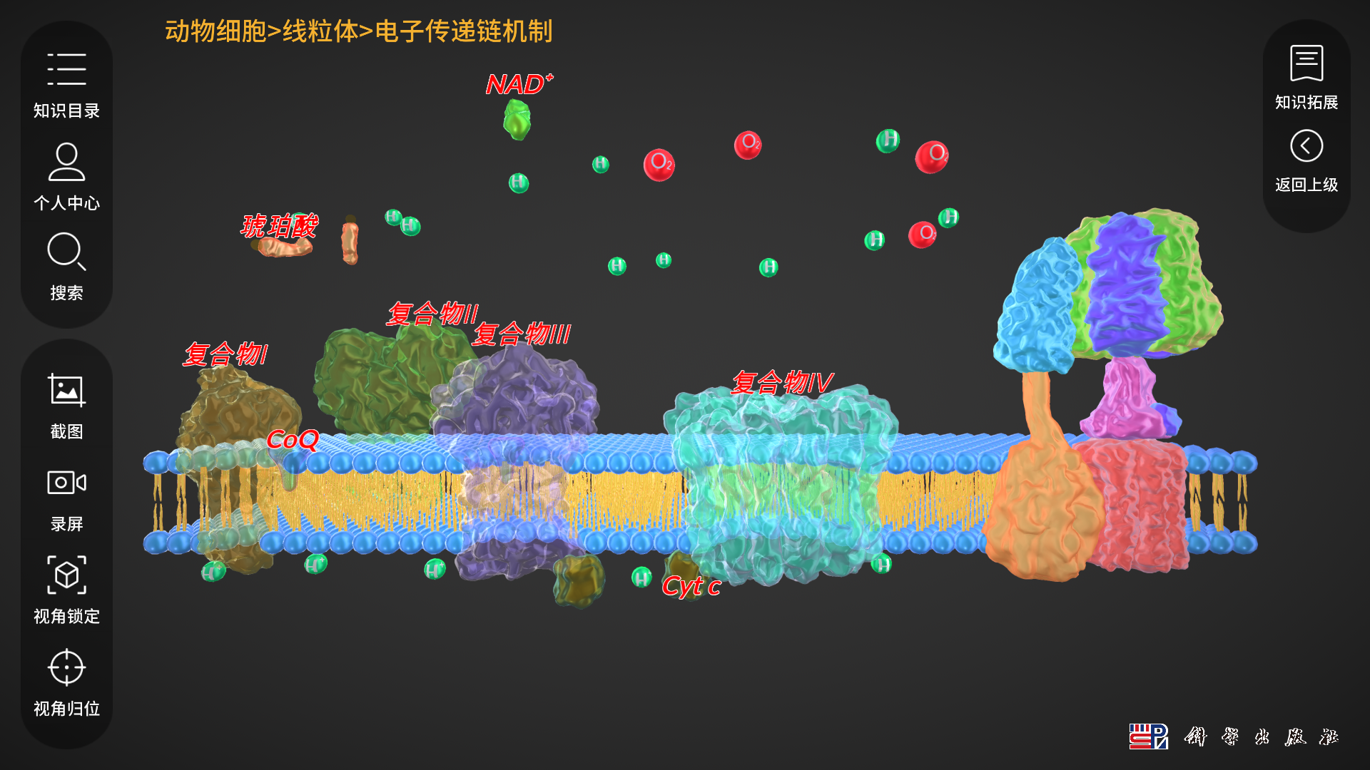 细胞生物学3D资源库系统第1张手机截图