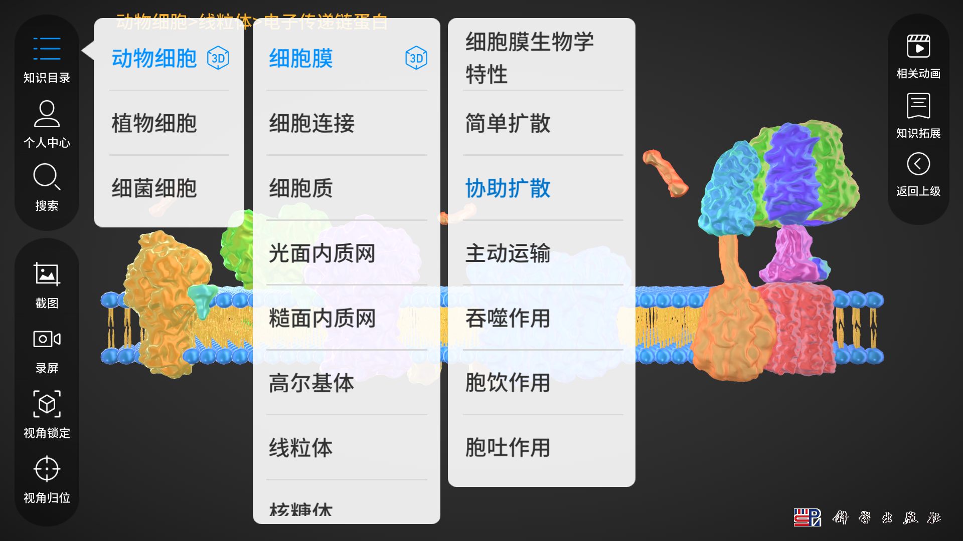 细胞生物学3D资源库系统第5张手机截图