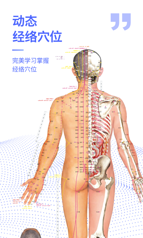 人体3D解剖图谱软件封面