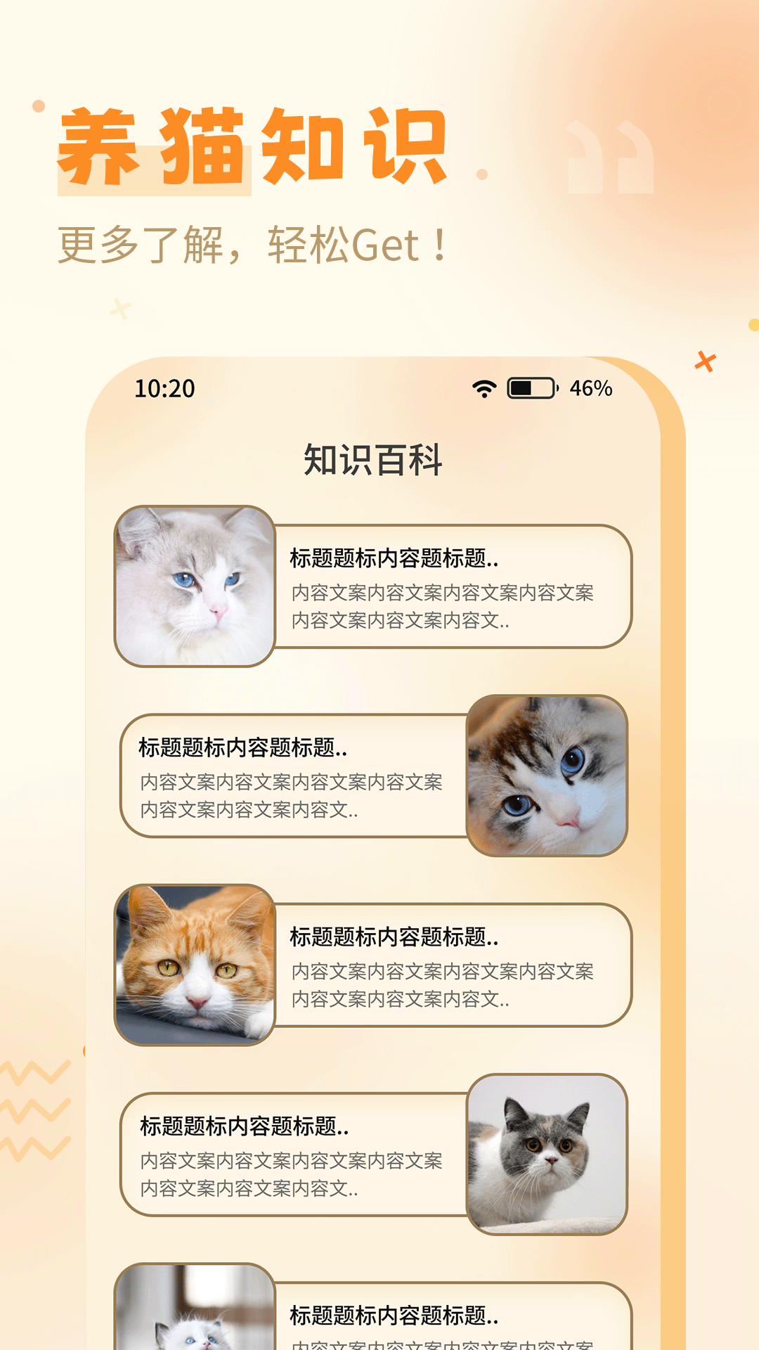 猫语翻译器软件封面