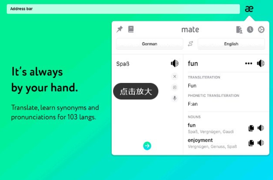 Mate Translate Features