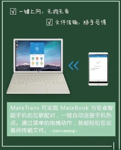 Mate Translate Functionalities