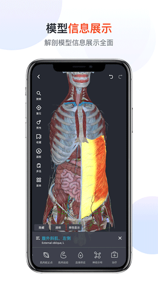 口袋人体解剖app软件封面