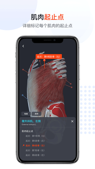 口袋人体解剖app软件封面