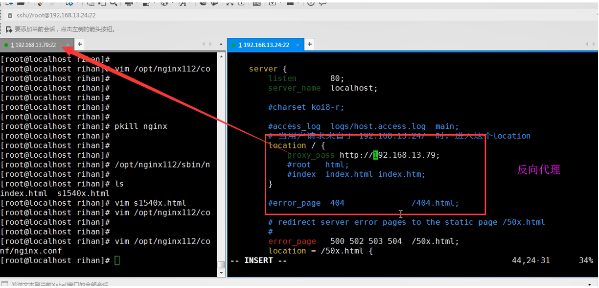 Nginx Load Balancing Image