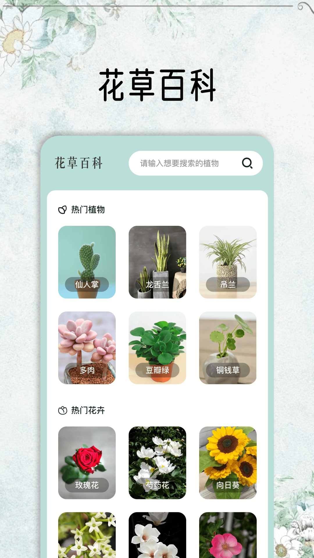 花草秒识别软件封面