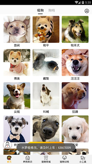 犬类声音示例