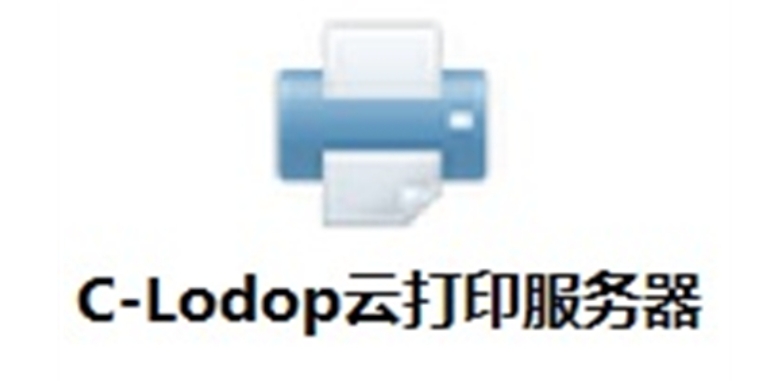 C-Lodop Software