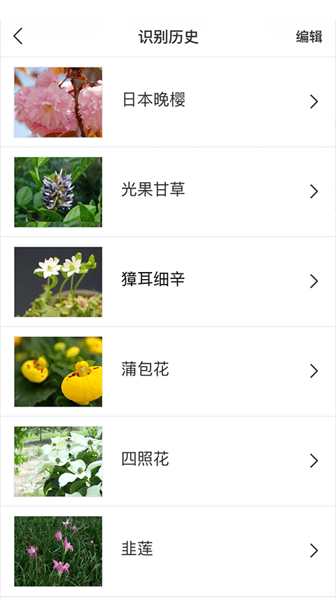 识花app第3张手机截图