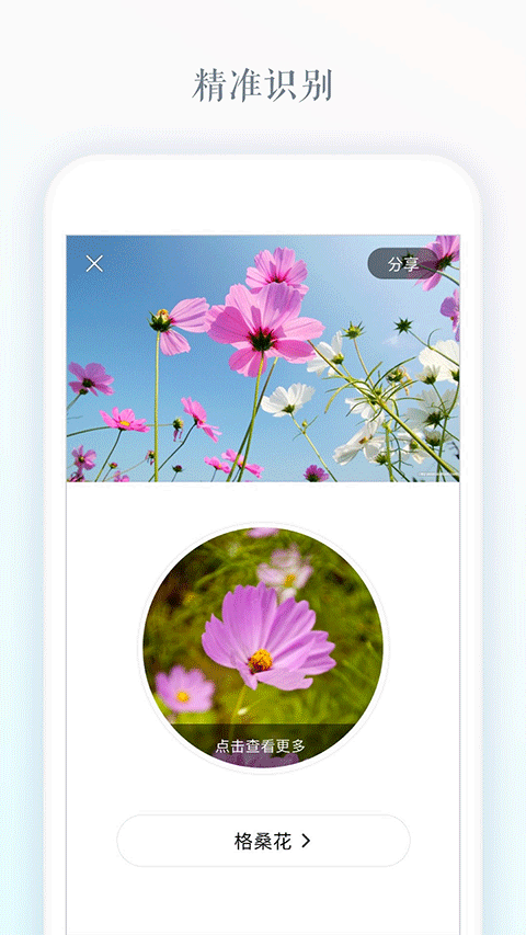 识花app第4张手机截图