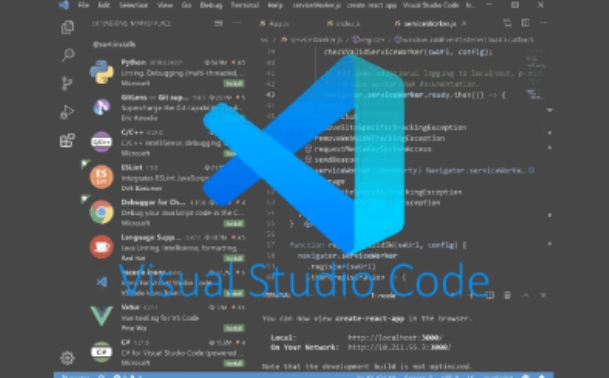 VSCode Interface