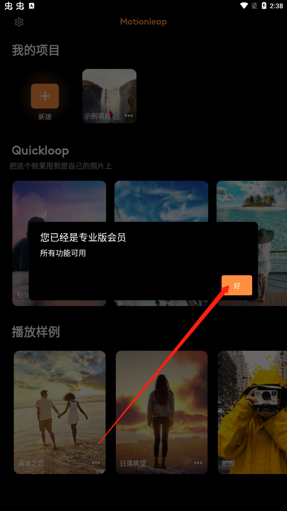 motionleap2024软件封面