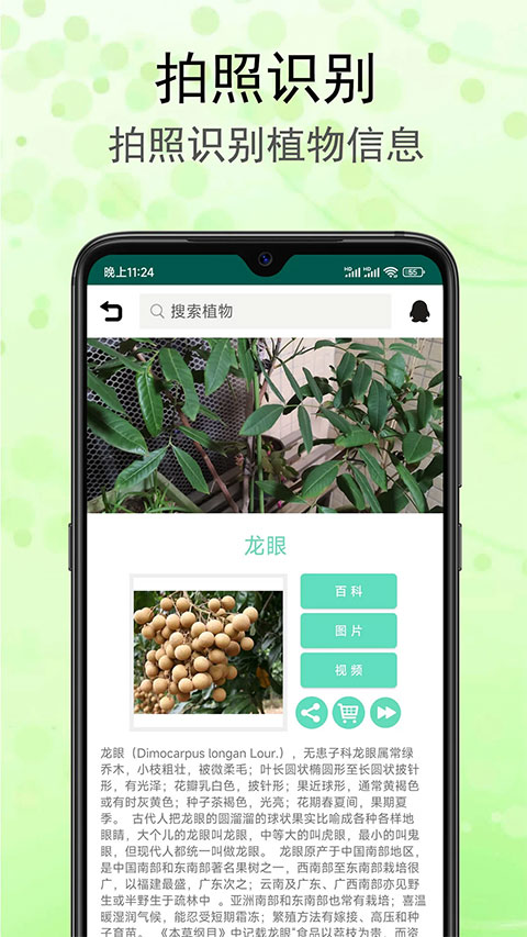 识花草软件第1张手机截图