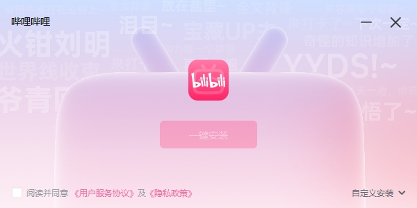 Bilibili Installation Steps Screenshot