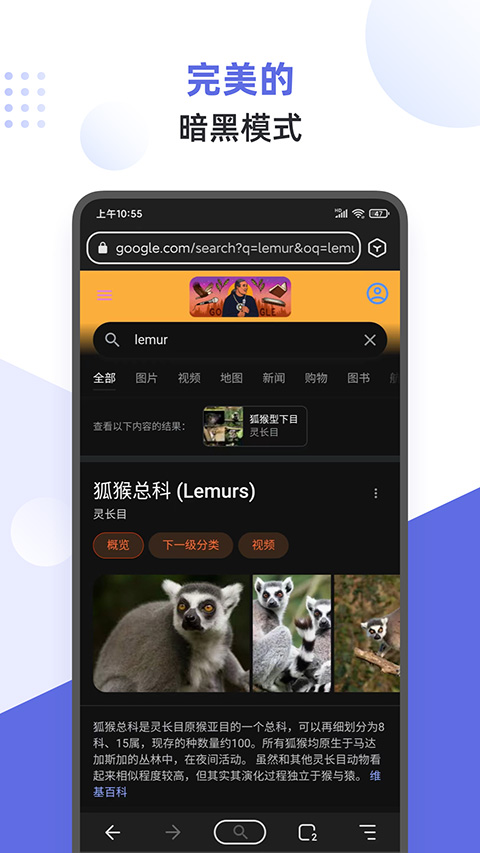 狐猴浏览器app第1张手机截图