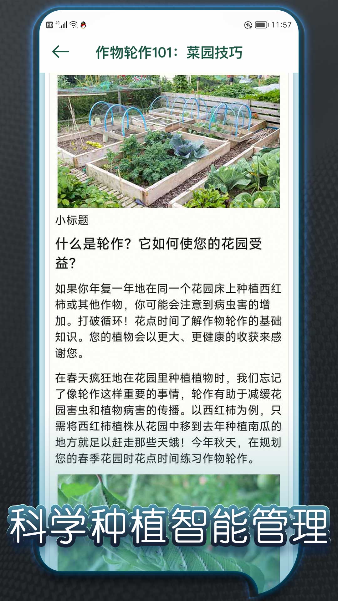 种个大南瓜第4张手机截图