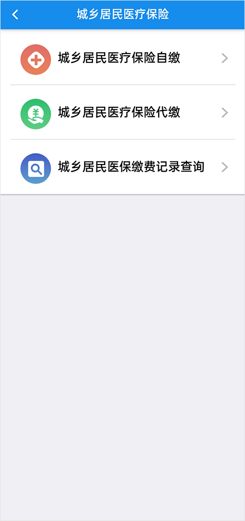 湖北税务app软件封面