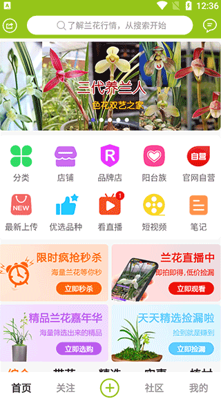 兰花交易网app首页