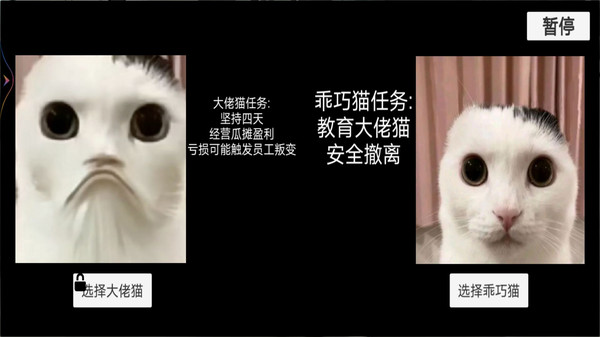 猫猫惊魂夜第3张手机截图