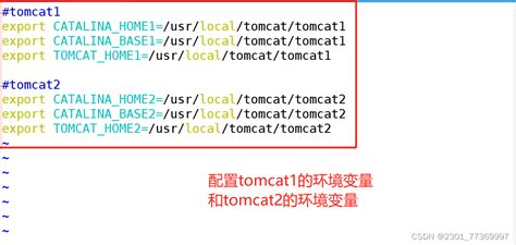 如何在同一台服务器上部署两个Tomcat实例