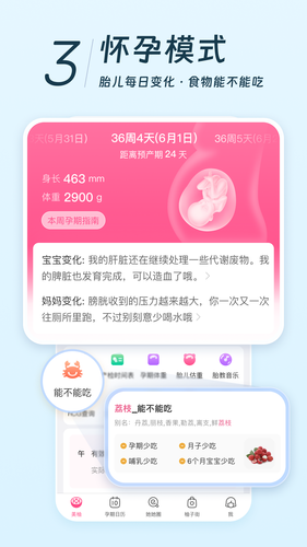 美柚第5张手机截图