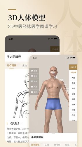 经络穴位标准指南第2张手机截图