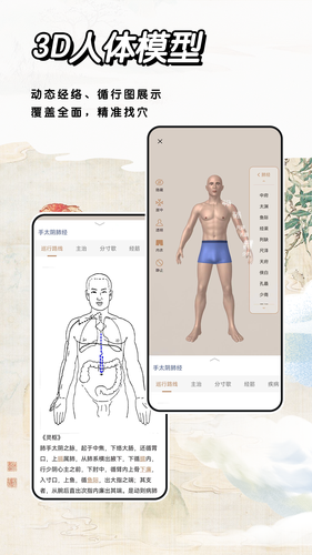 中医经络穴位标准指南第2张手机截图