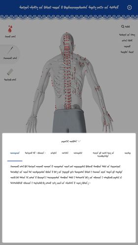 蒙医穴位标准化信息系统软件封面