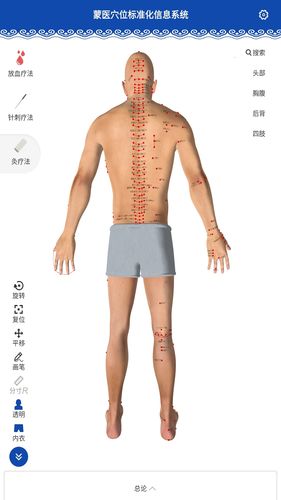 蒙医穴位标准化信息系统软件封面