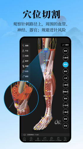 针灸大师第1张手机截图