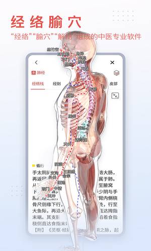 3Dbody解剖软件封面