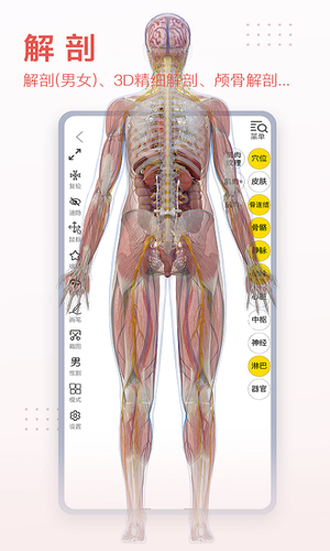 3Dbody解剖软件封面