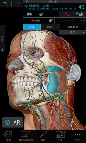 3D人体解剖软件封面