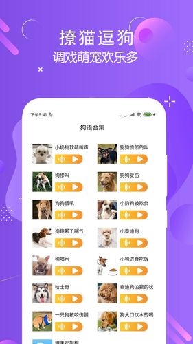 猫狗语言翻译交流器第3张手机截图